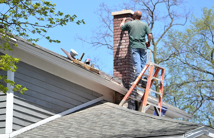 Chimney & Fireplace Inspections Services in Greenville, TX
